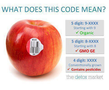How are bar codes read?