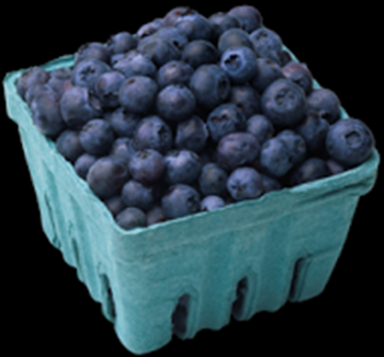 2014-05-04_basket_of_blueberries
