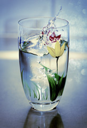 2014-05-04_water_with_flower