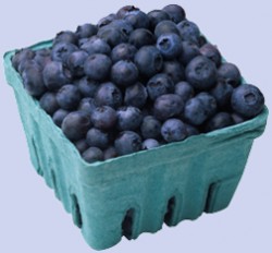 blueberry_basket copy