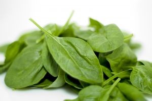 Spinach Fights Fatigue