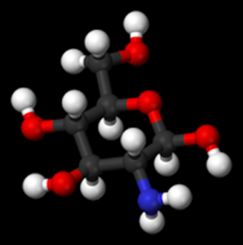 2014-05-03_glucosamine