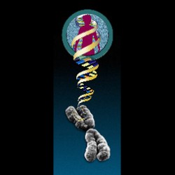 graphic_of_dna_and_silhouette