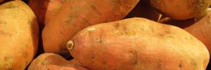 Cancer Fighting Sweet Potato Recipe